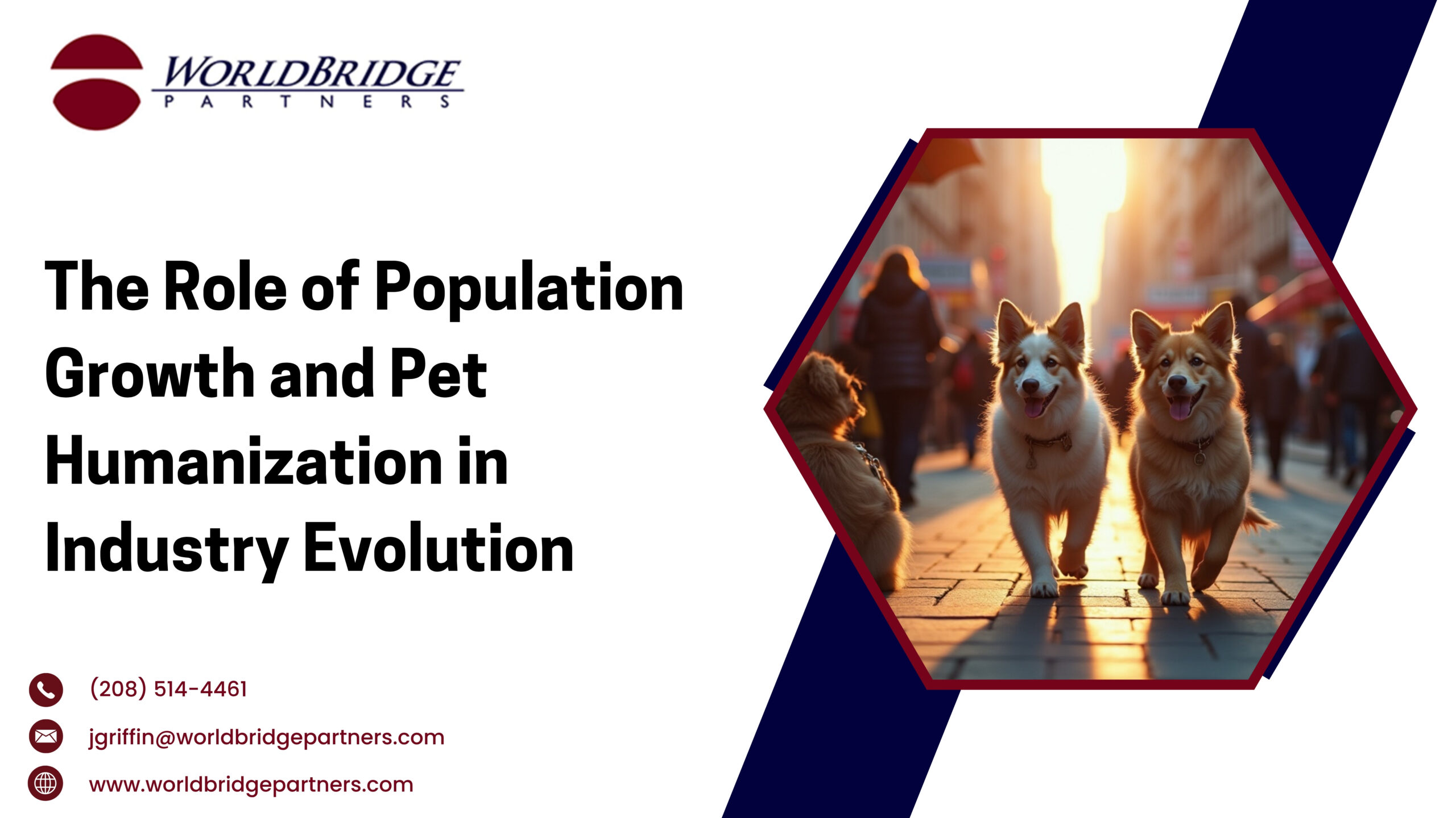 The Role Of Population Growth And Pet Humanization In Industry Evolution